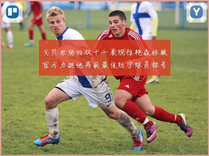戈贝尔场均双十一表现惊艳森林狼官方力挺他再获最佳防守球员称号